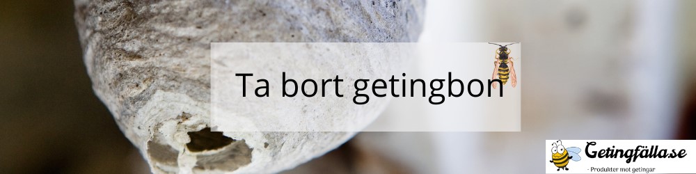 ta bort getingbon